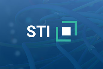 Logo Maschinensteuerung STI